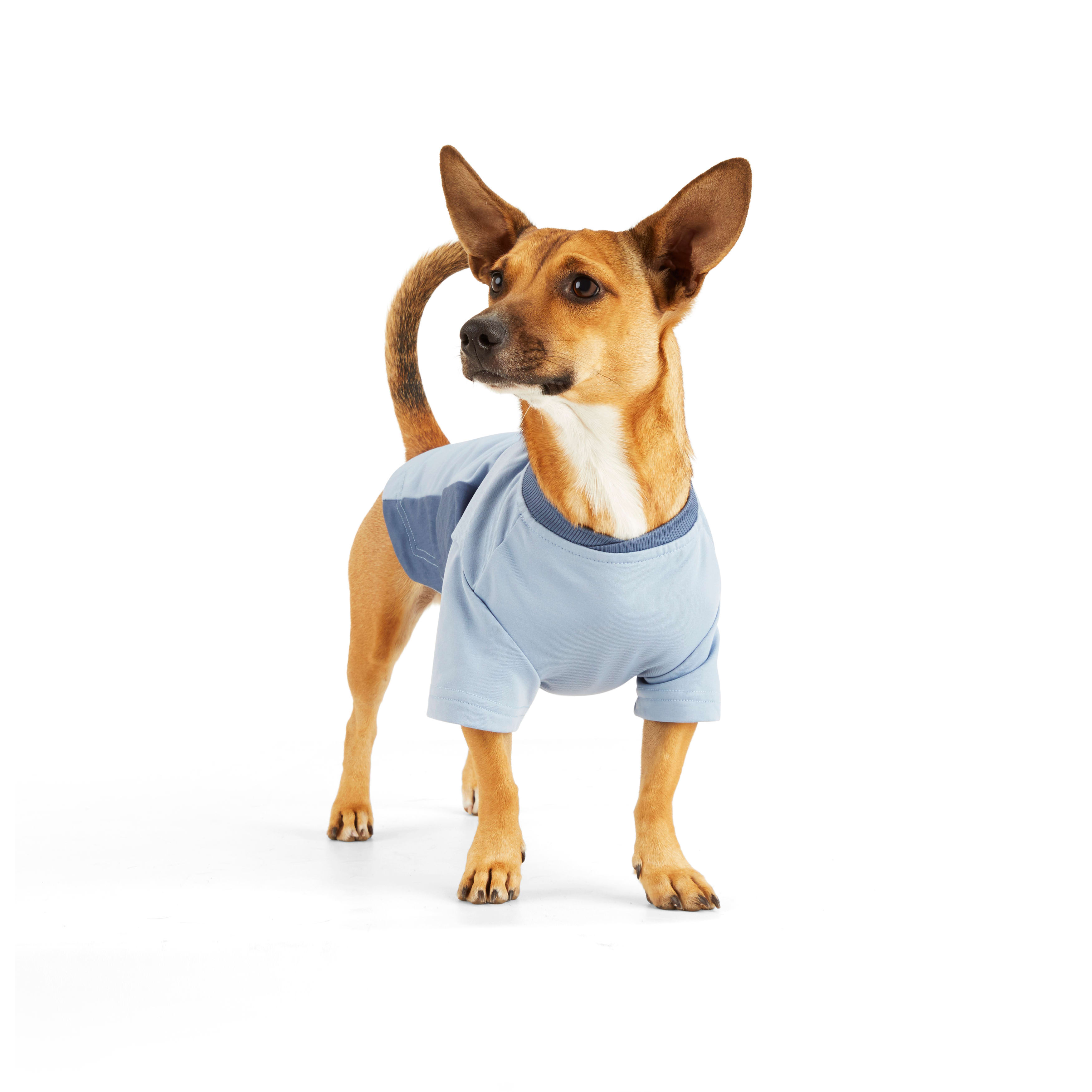 Reddy Blue Liner Dog Baselayer， 3X-Large