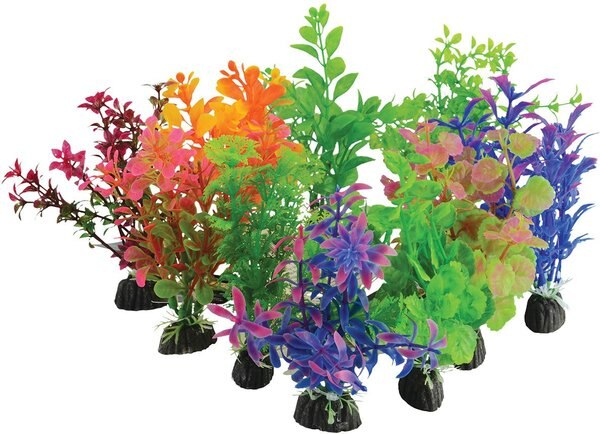 Underwater Treasures Plant on Rock Mixed Fish Ornament， 10 count