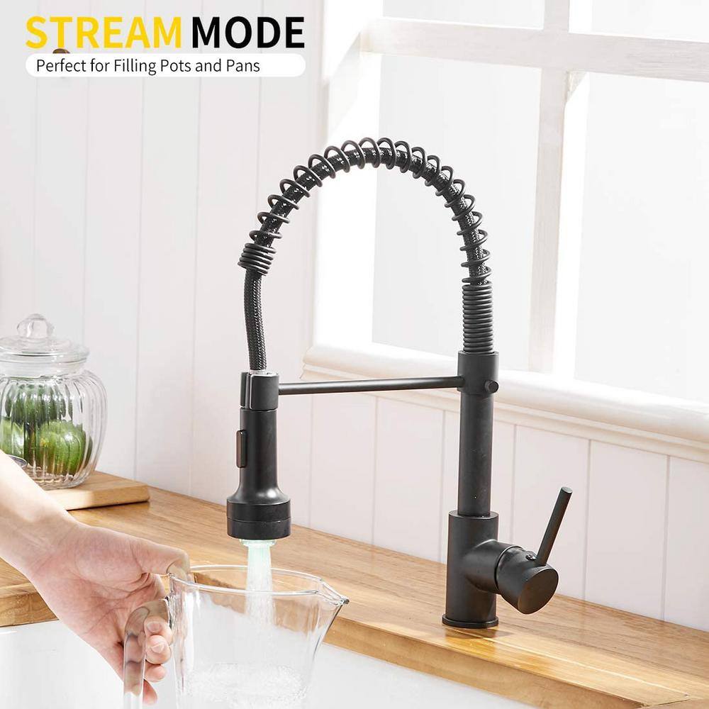 Fapully Single-Handle Pull Down Sprayer Kitchen Faucet with 360 Rotation and LED Lights in Matte Black DFA-1003B-LED