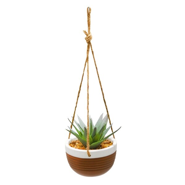 13 Succulents Hanging Planter In Colorful Ceramic Pot