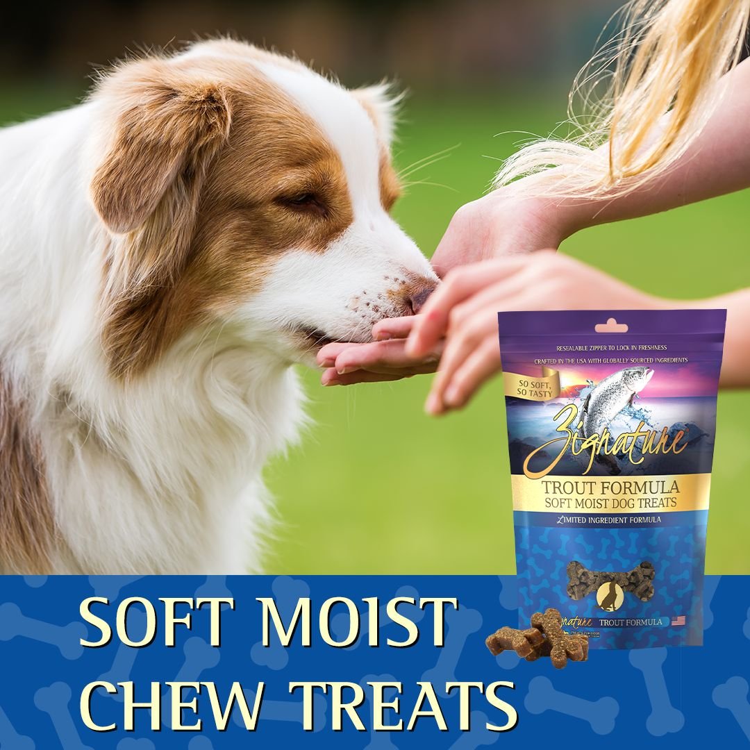 Zignature Trout Flavored Soft Dog Treats