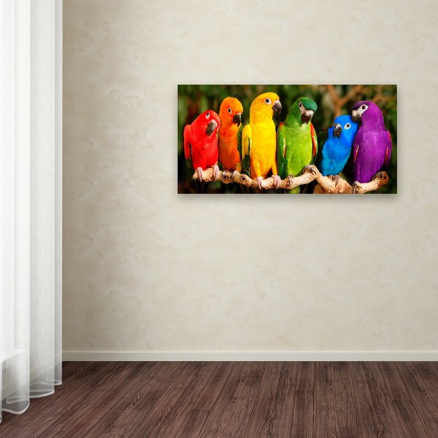 Trademark Fine Art mike Jones Photo x27 rainbow Parrots x27 Canvas Art