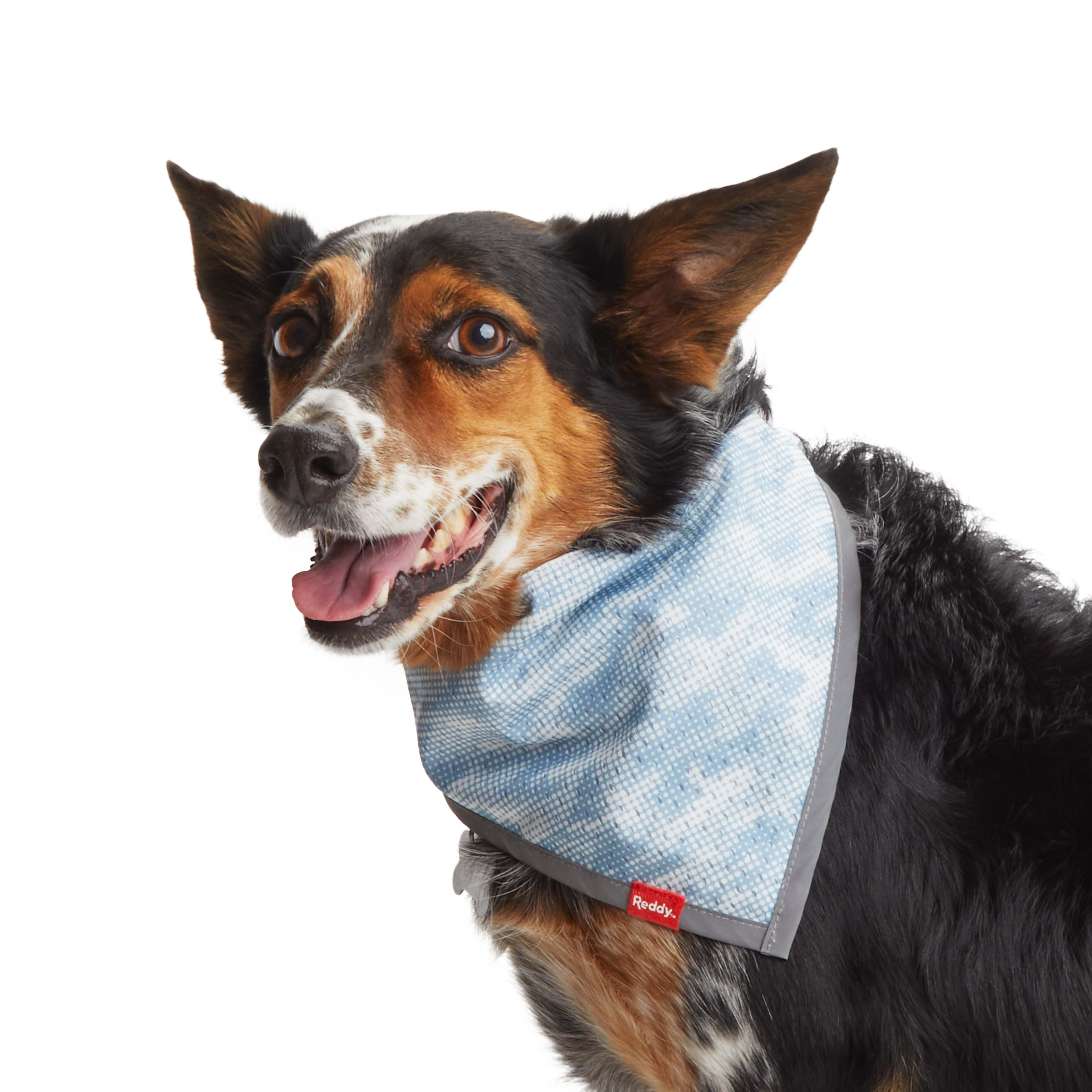 Reddy Blue Bandana for Dogs， X-Small/Small