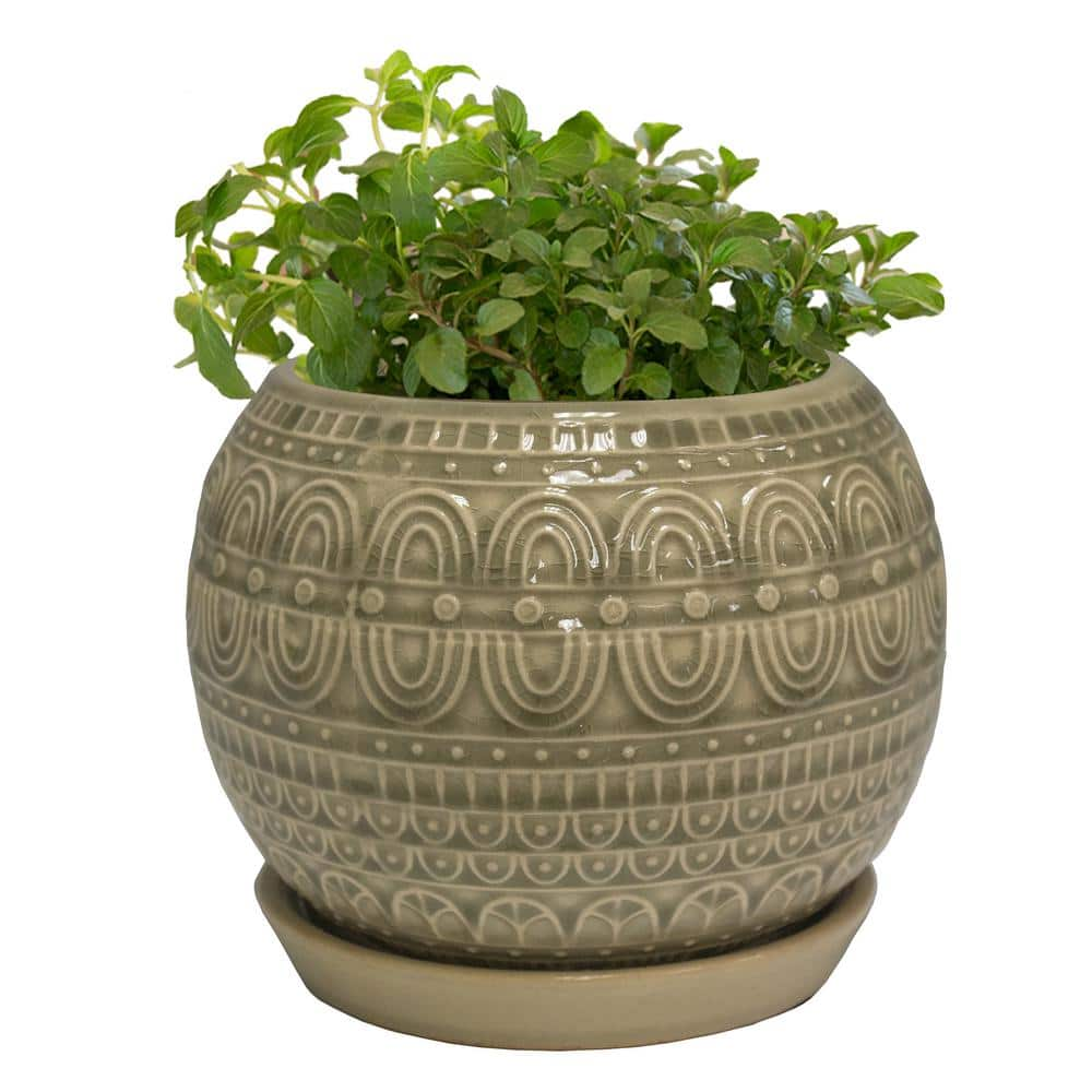 Trendspot 6 in. Greige Seven Seas Ceramic Globe Planter ECR00735S-060H