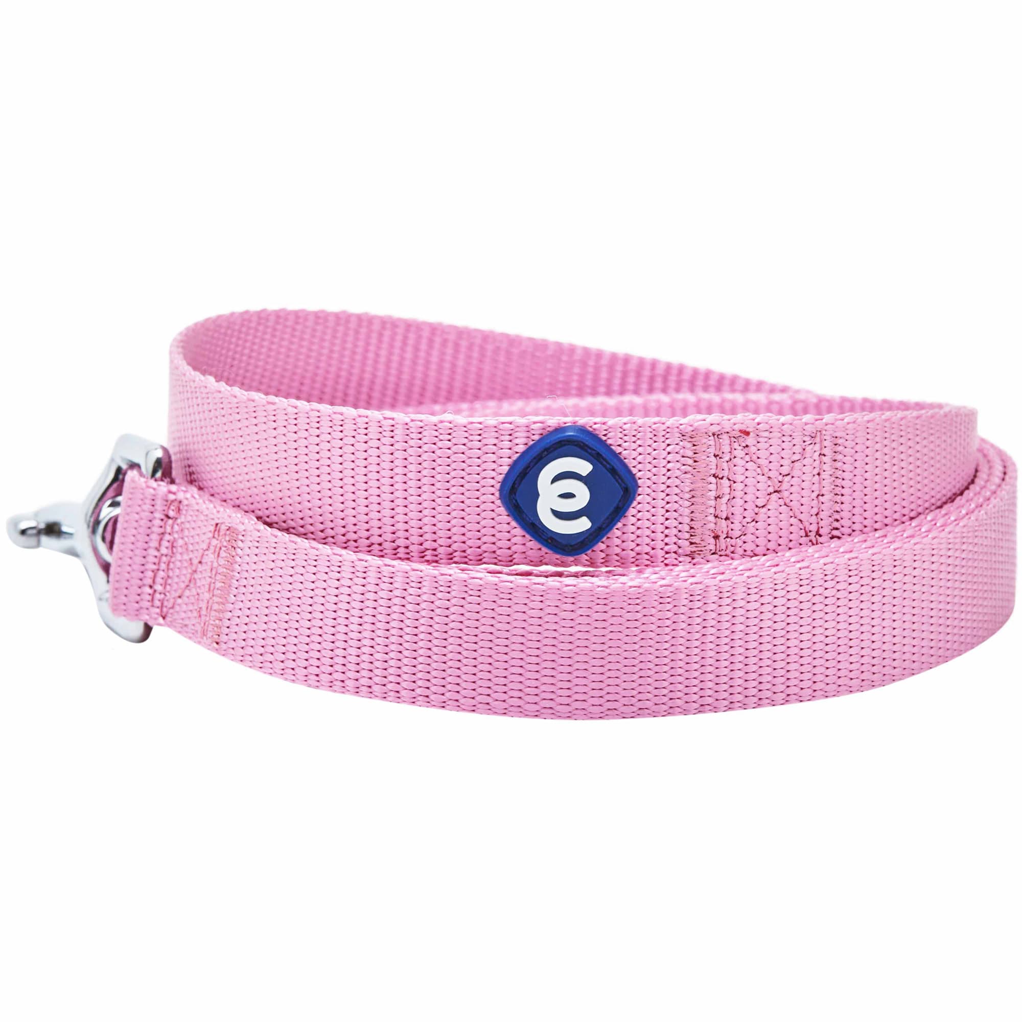 Blueberry Pet Fuchsia Pink Classic Nylon Dog Leash， 5 ft.， Small