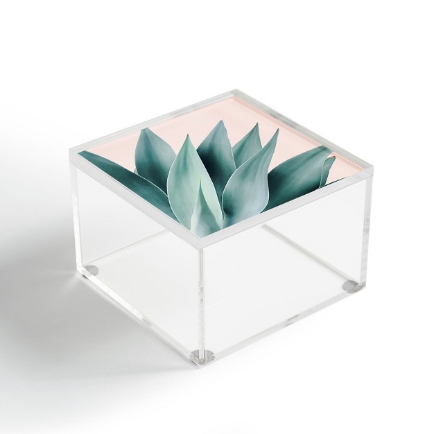 Gale Switzer Agave Flare Ii Peach Acrylic Box Deny Designs