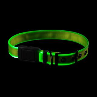 Nite Ize NiteDog - L - LimeGreen Rechargeable LED Collar NDCRL-17-R3