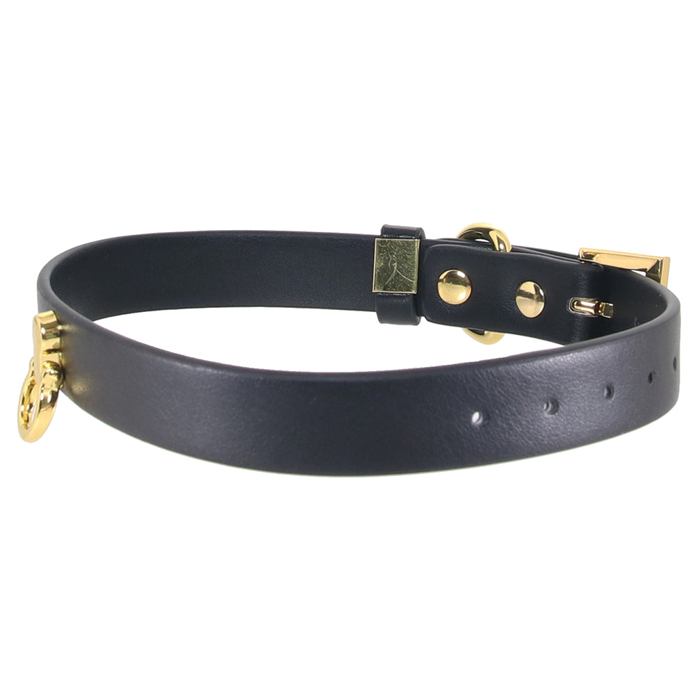 Taboo Cara Collar