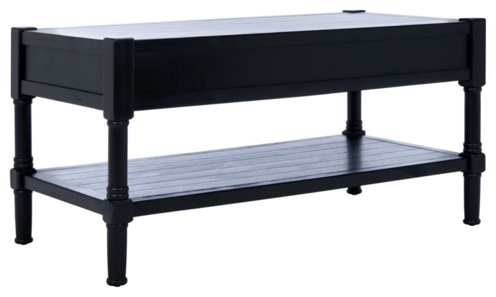 Artio 2 Drawer Coffee Table Black   Traditional   Coffee Tables   by AED Luxury Home Decor  Houzz