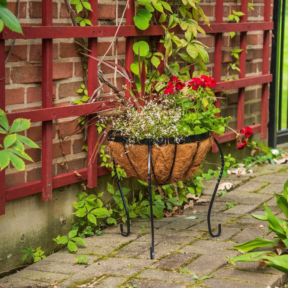 Gilbert  Bennett Canterbury 14 in. Metal Basket Stand Planter BSCB15-B