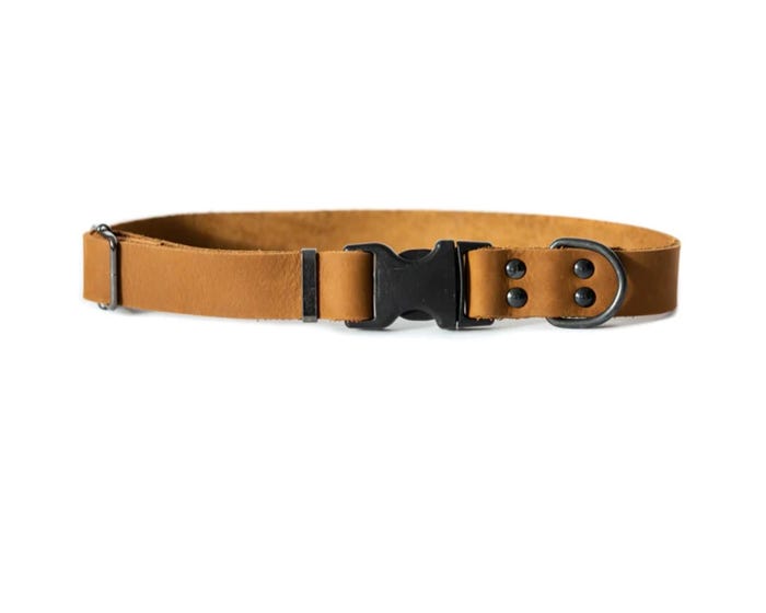 Euro Dog Sport Style Soft Leather Dog Collar， Brown， Large - SLBB