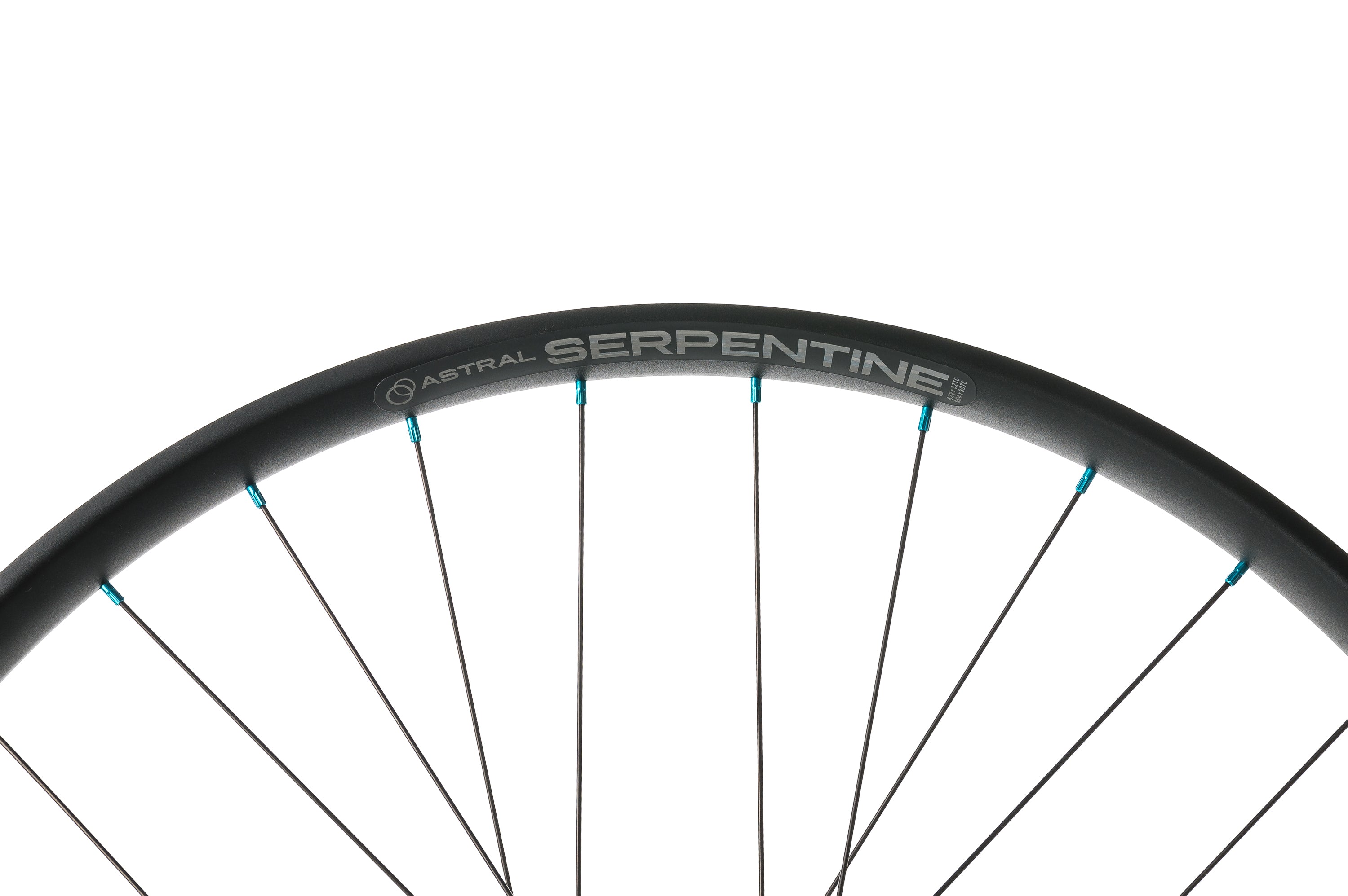 Astral Serpentine w/ Project 321 Hubs Aluminum Tubeless 29