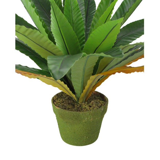 Bird Nest Fern Artificial Potted Plant Green brown