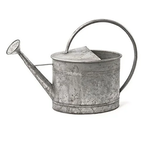 Galvanized Water Cans Garden For Farm And Garden Planter Cane Modern Style Factory Rate Customized Best Quality Metal