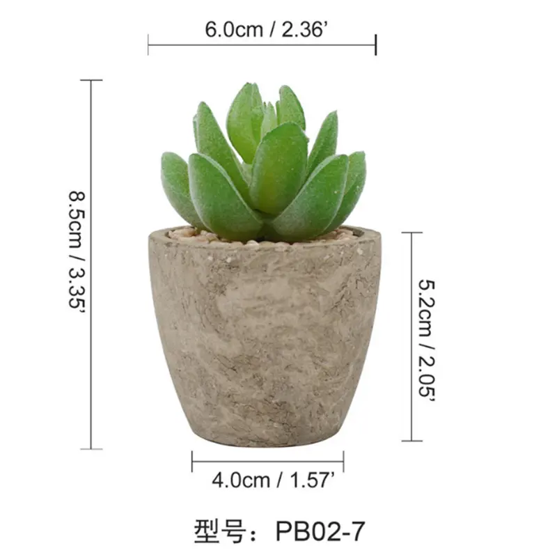 Livingroom Wholesale Succulent Plant Pot Gift for Indoor Home and Office Decoration