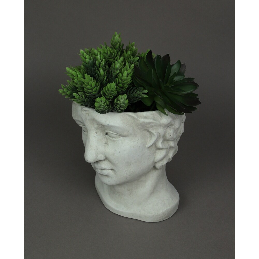 Resin Classic Greek Statue Head Planter Flower Pot Plant Vase   7 X 7.25 X 7 inches