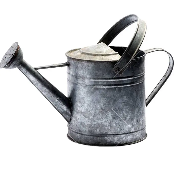 2023 Latest Design High Quality Iron Galvanized Tin Metal Water Can New Indian Made Design Metal Watering Can With Dual Handle