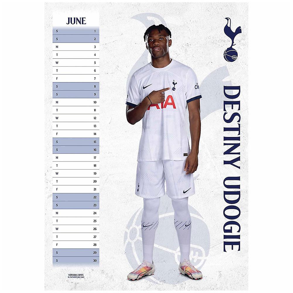 Tottenham Hotspur FC 2024 A3 Wall Calendar