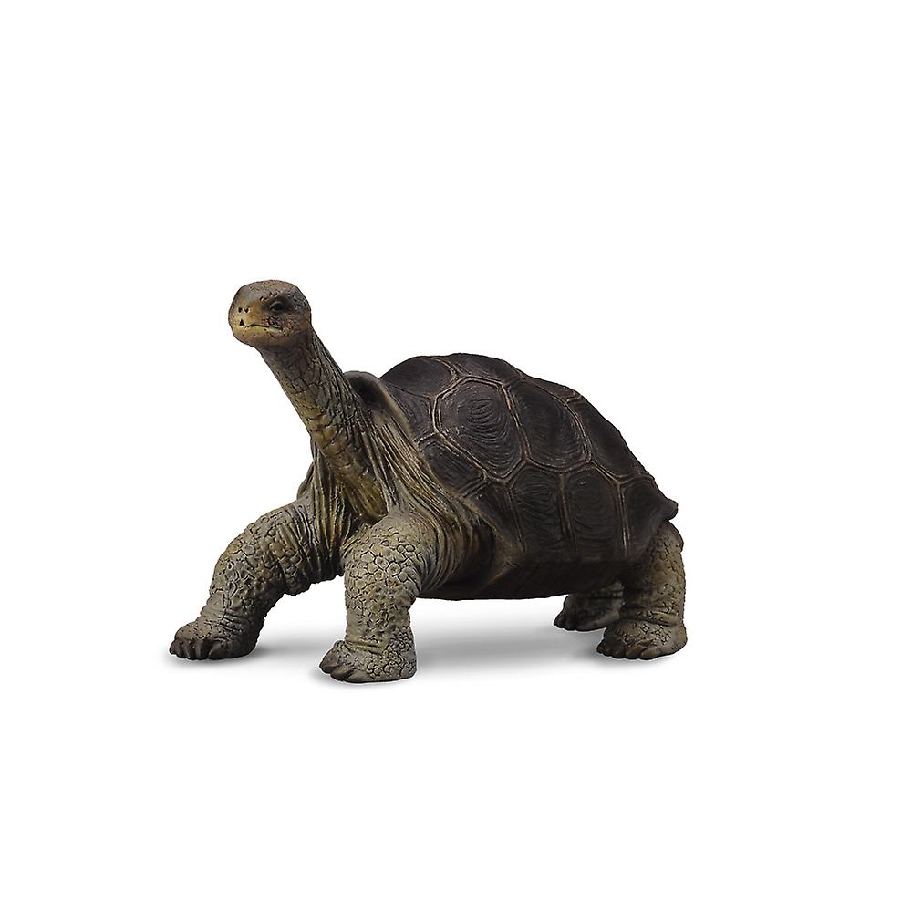 CollectA Pinta Island Tortoise (In memory of Lonesome George)