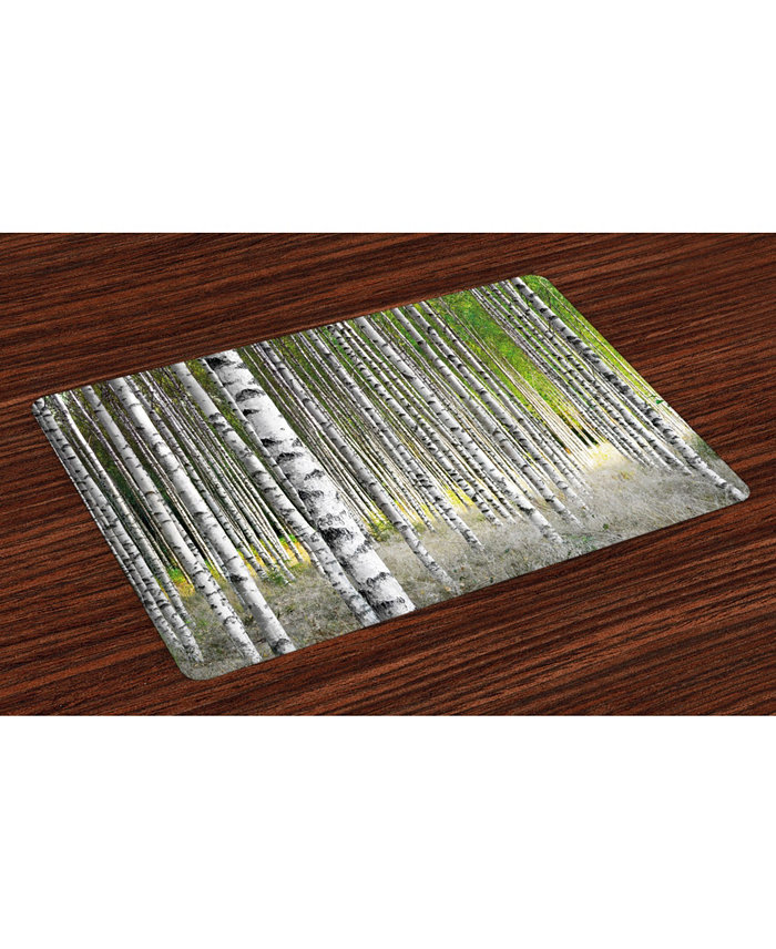 Ambesonne Birch Tree Place Mats Set of 4