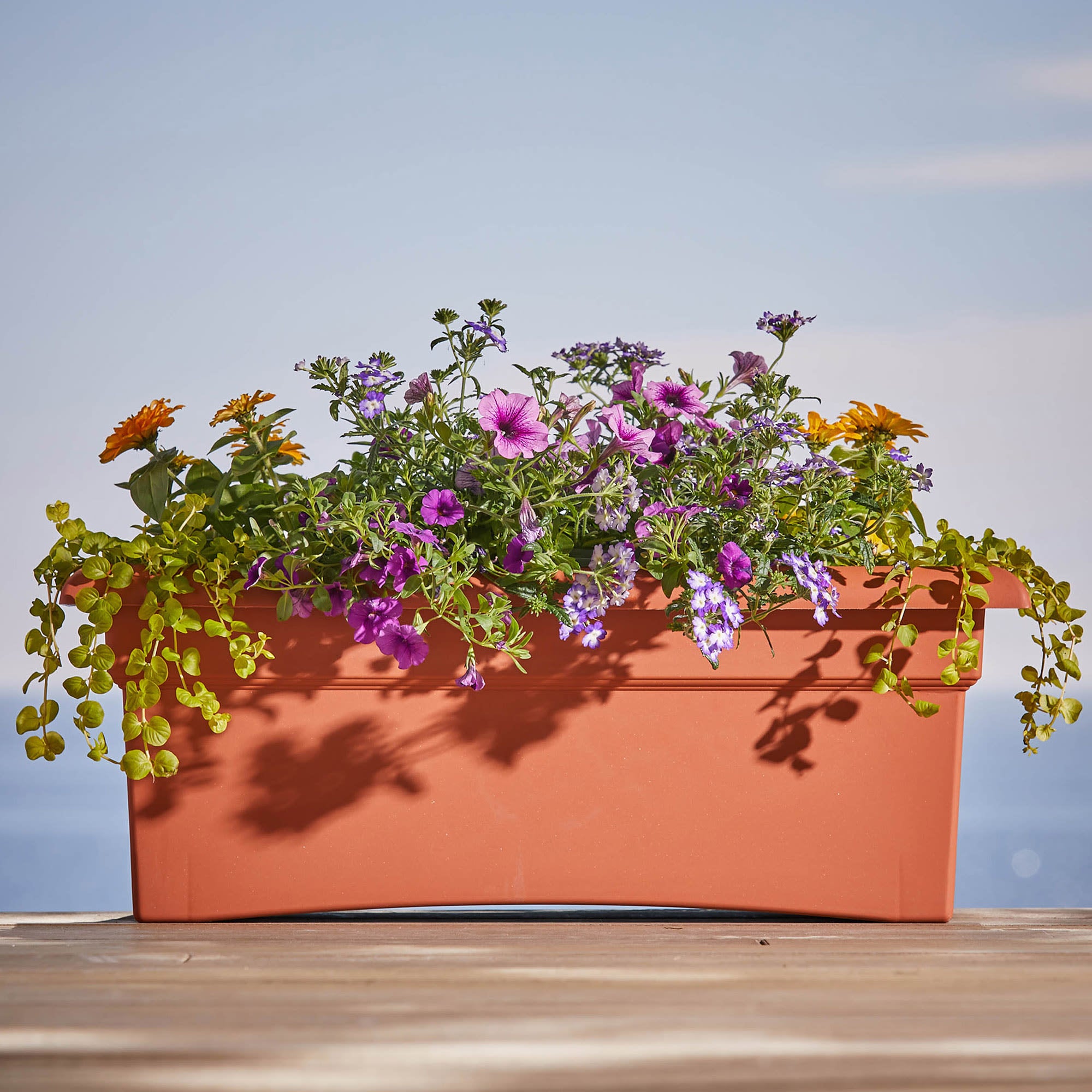 Bloem Veranda Rectangle Deck Box Planter: 26" - Terra Cotta