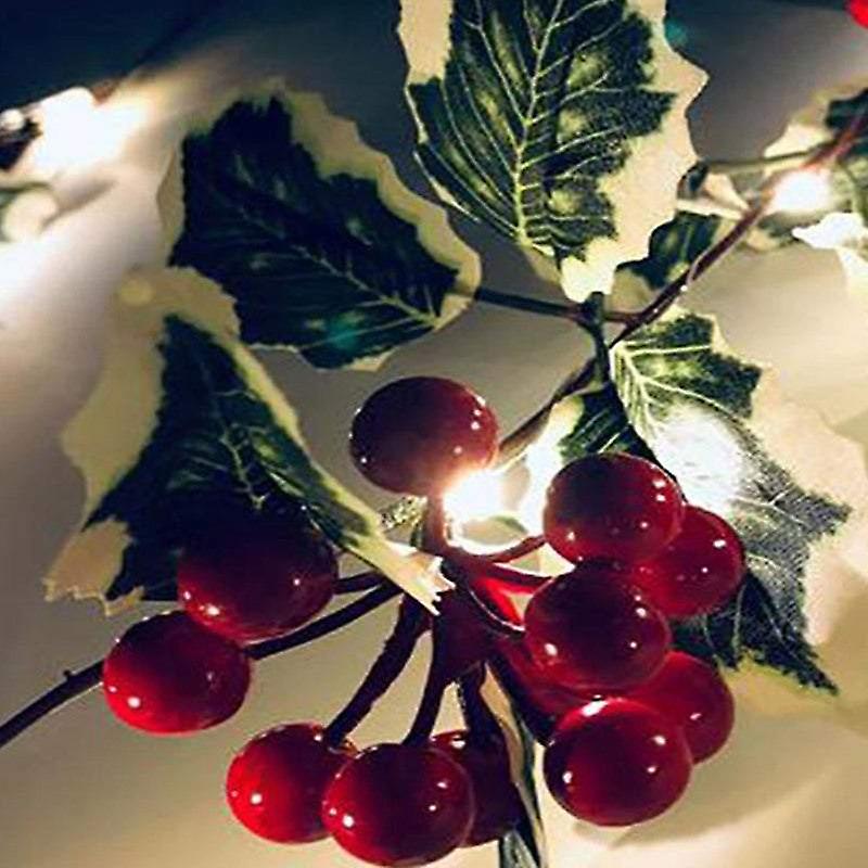 Indoor String Lights 2M 20Led Christmas Berry Garland Battery Powered