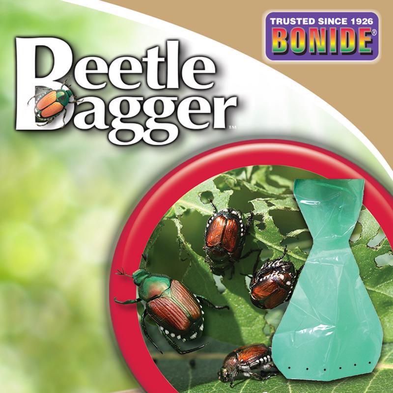 BEETLE TRAP BAG 6 PK