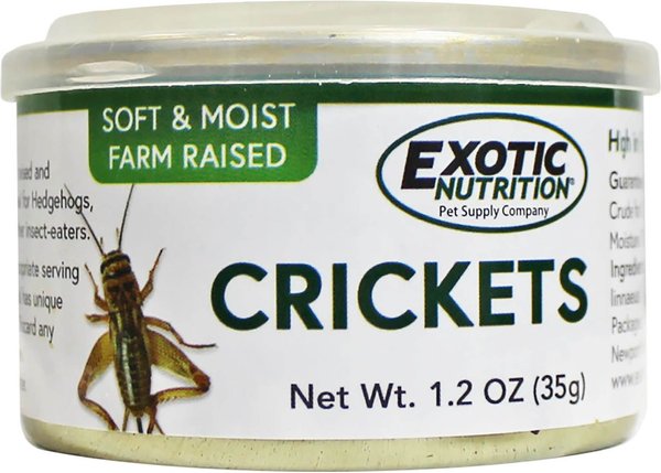 Exotic Nutrition Crickets Hedgehog Treats， 1.2-oz can