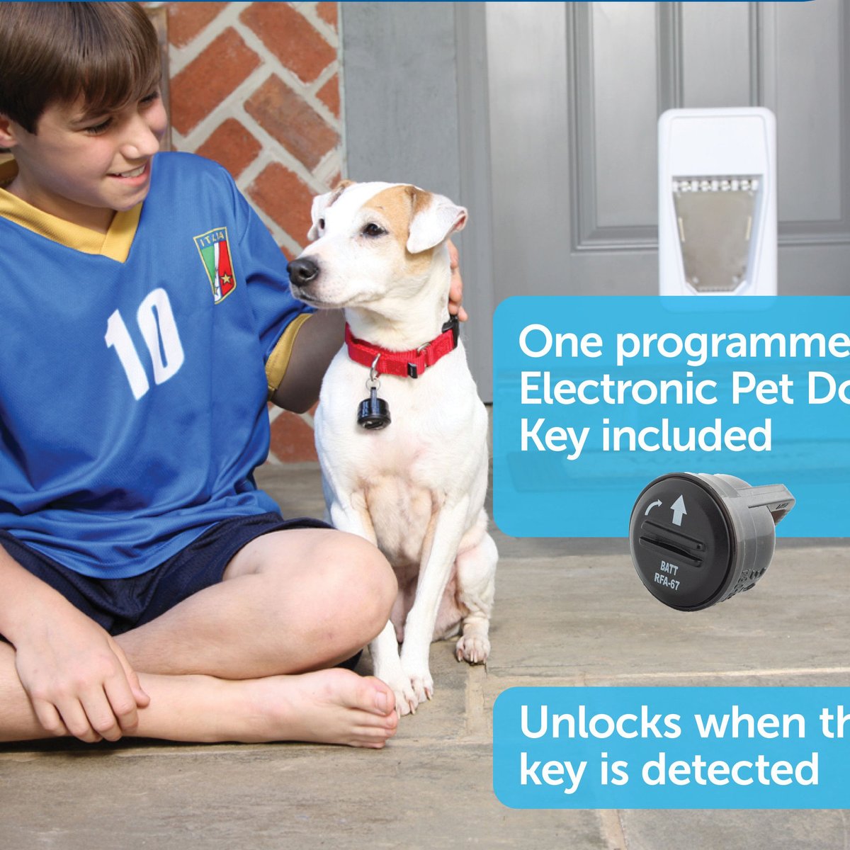 PetSafe Electronic Pet Door