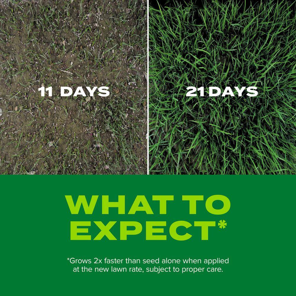 Scotts Turf Builder 16 lbs. Rapid Grass Tall Fescue Mix Combination Seed and Fertilizer Grows Green Grass in Just Weeks 18228-1