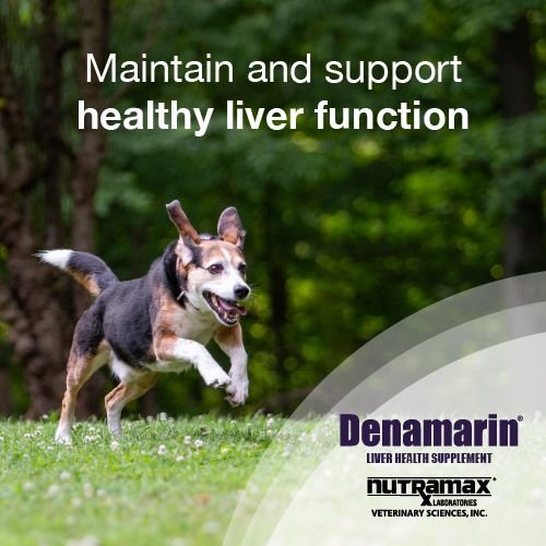 Nutramax Denamarin with S-Adenosylmethionine and Silybin Tablets Liver Supplement for Medium Dogs