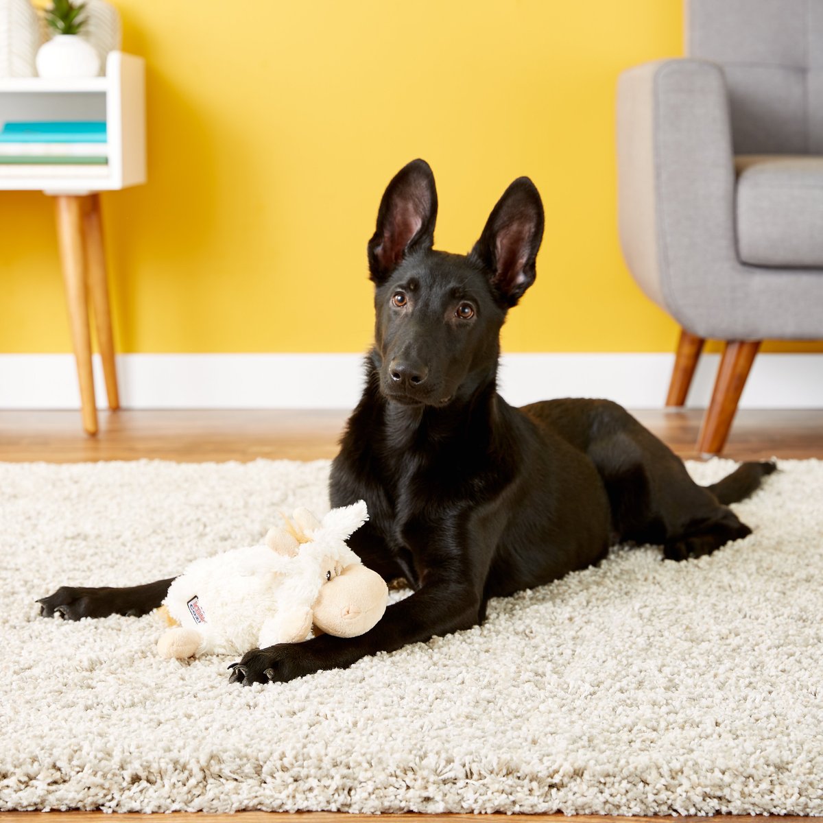 KONG Cozie Tupper the Lamb Dog Toy