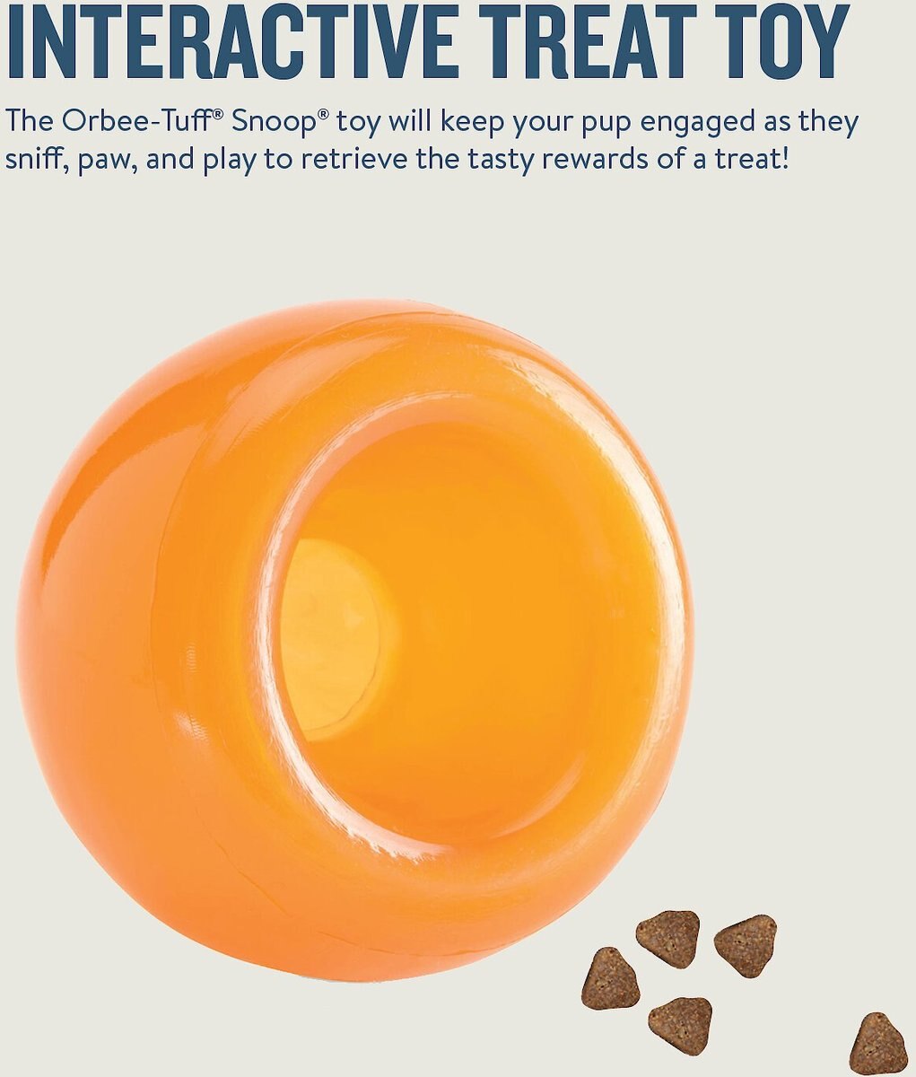 Planet Dog Orbee-Tuff Snoop Treat Dispensing Tough Dog Chew Toy