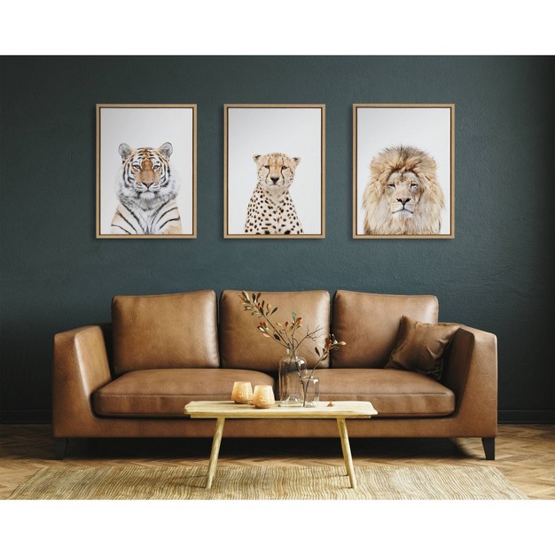 X 24 quot Sylvie Lion Stare Portrait Framed Canvas By Amy Peterson Natural Kate amp Laurel All Things Decor