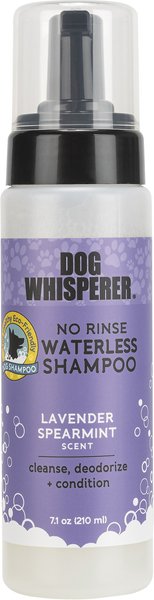 Dog Whisperer No Rinse Waterless Lavender Spearmint Dog Shampoo