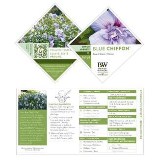 PROVEN WINNERS 2 Gal. Blue Chiffon Rose of Sharon (Hibiscus) Plant with Blue Flowers 14714
