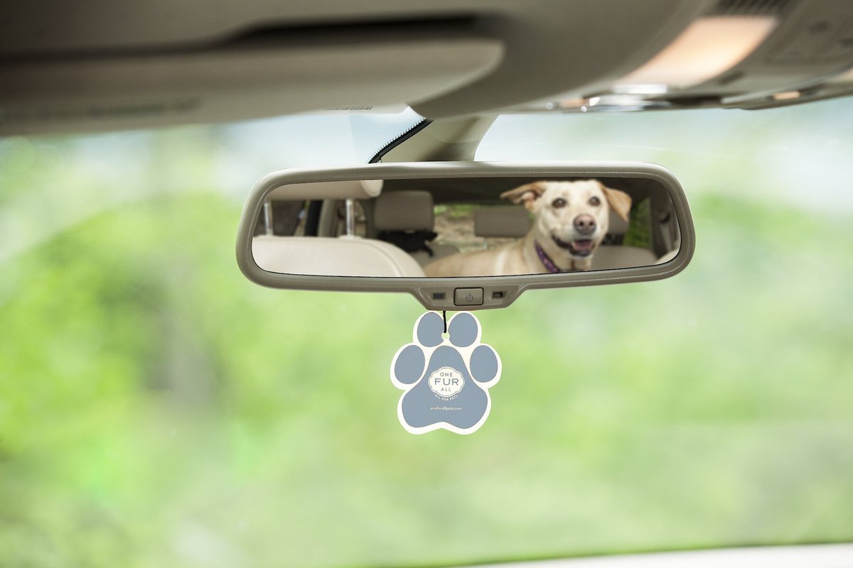 Pet House Sunwashed Cotton Car Air Freshener