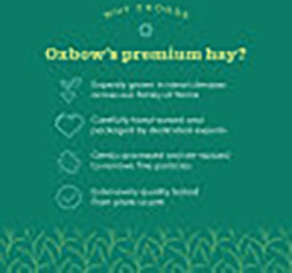 Oxbow Prime Cut Soft and Lush Timothy Hay Small Pet Food， 80-oz bag