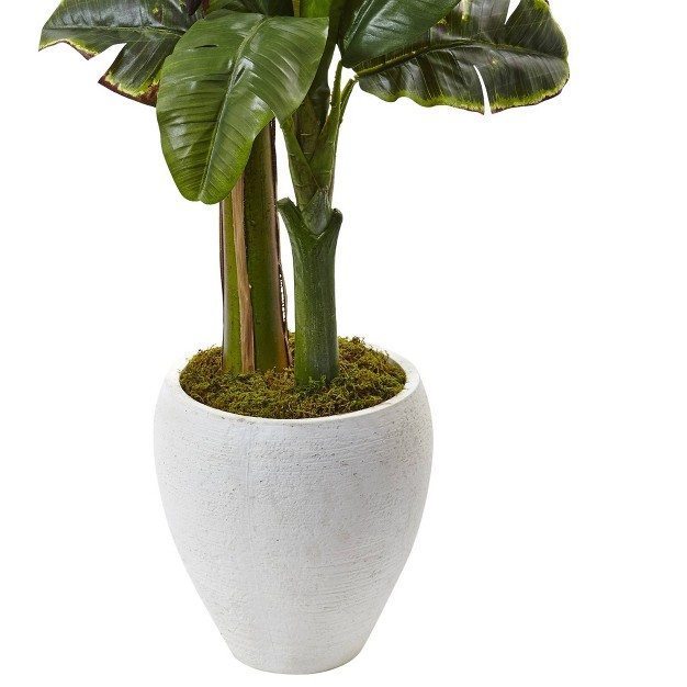 5ft Artificial Double Stalk Banana Tree In White Planter - Nearly Natural