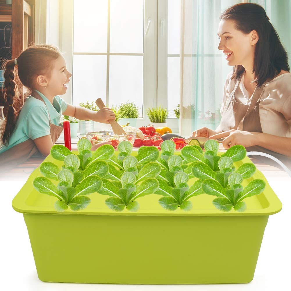 Flantor 12 Sites Bucket Indoor Spots Hydroponic System Growing Kit - Indoor Garden Herb Seed Starting Kit Green