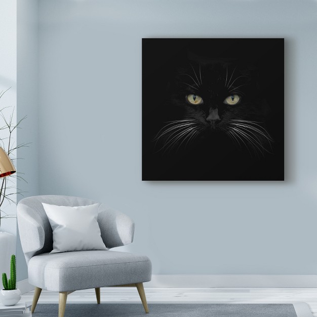 Trademark Fine Art lori Hutchison x27 black Cat Centered x27 Canvas Art