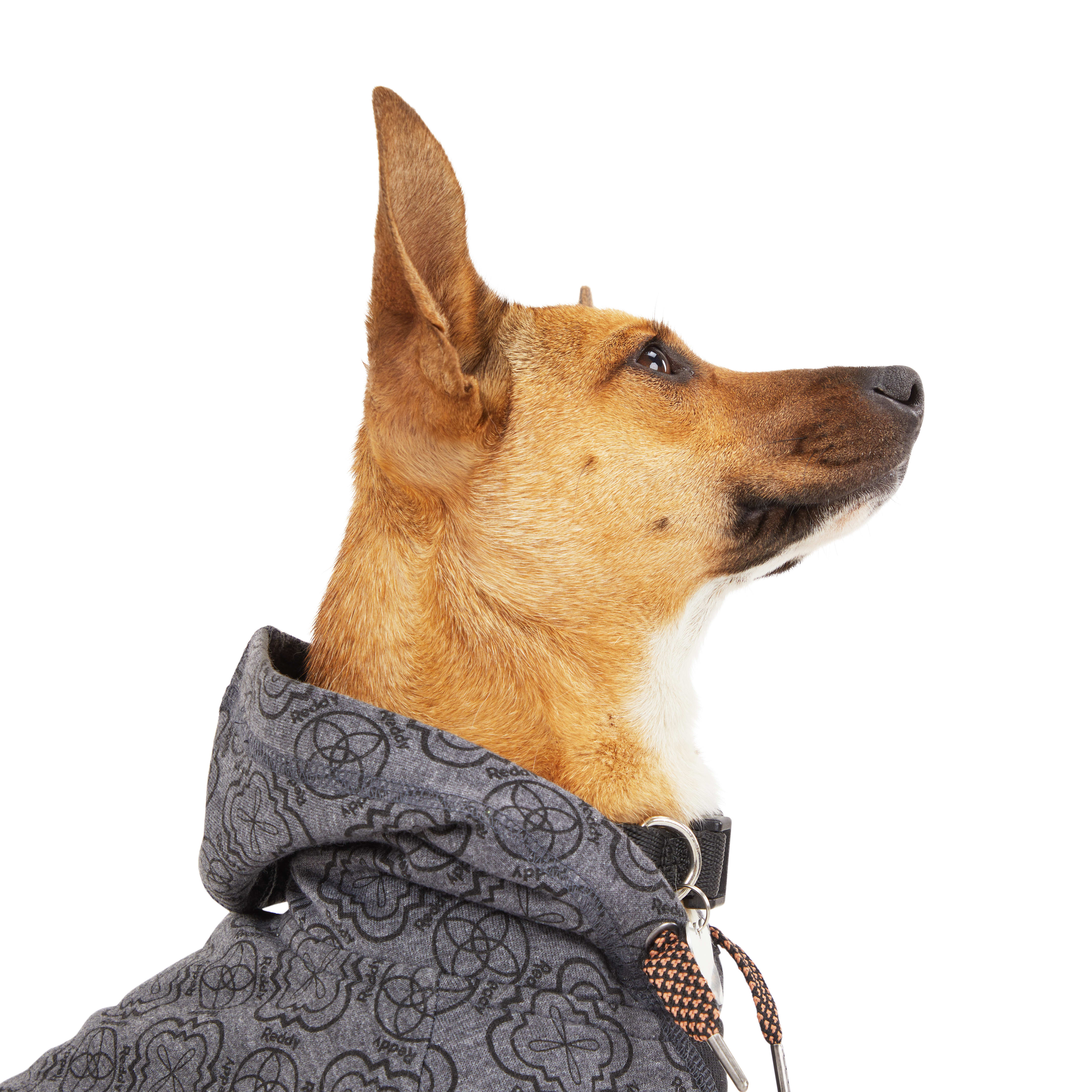 Reddy Charcoal Dog Hoodie， X-Small