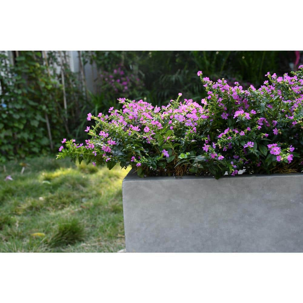 KANTE Set of 2 Lightweight Modern Rectangle Outdoor Planters， 31 in. and 23 in. Long， Natural Concrete RF0104AB-C80021