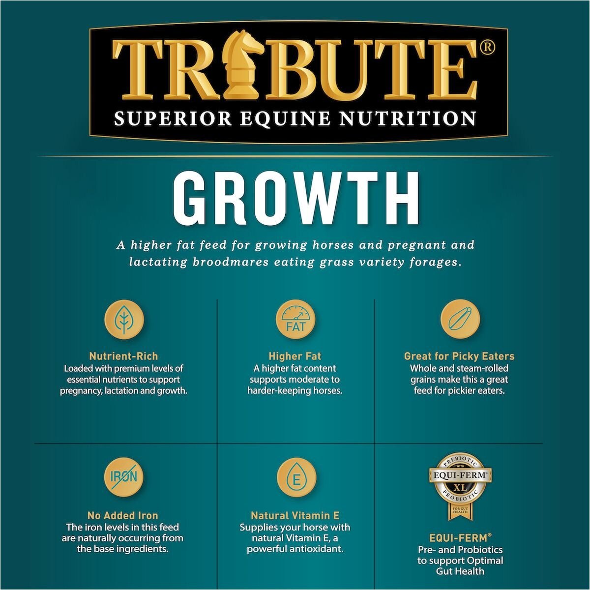 Tribute Equine Nutrition Growth Textured Horse Feed