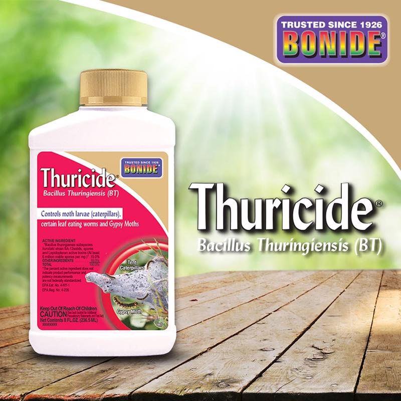 THURICIDE BT 8 OZ