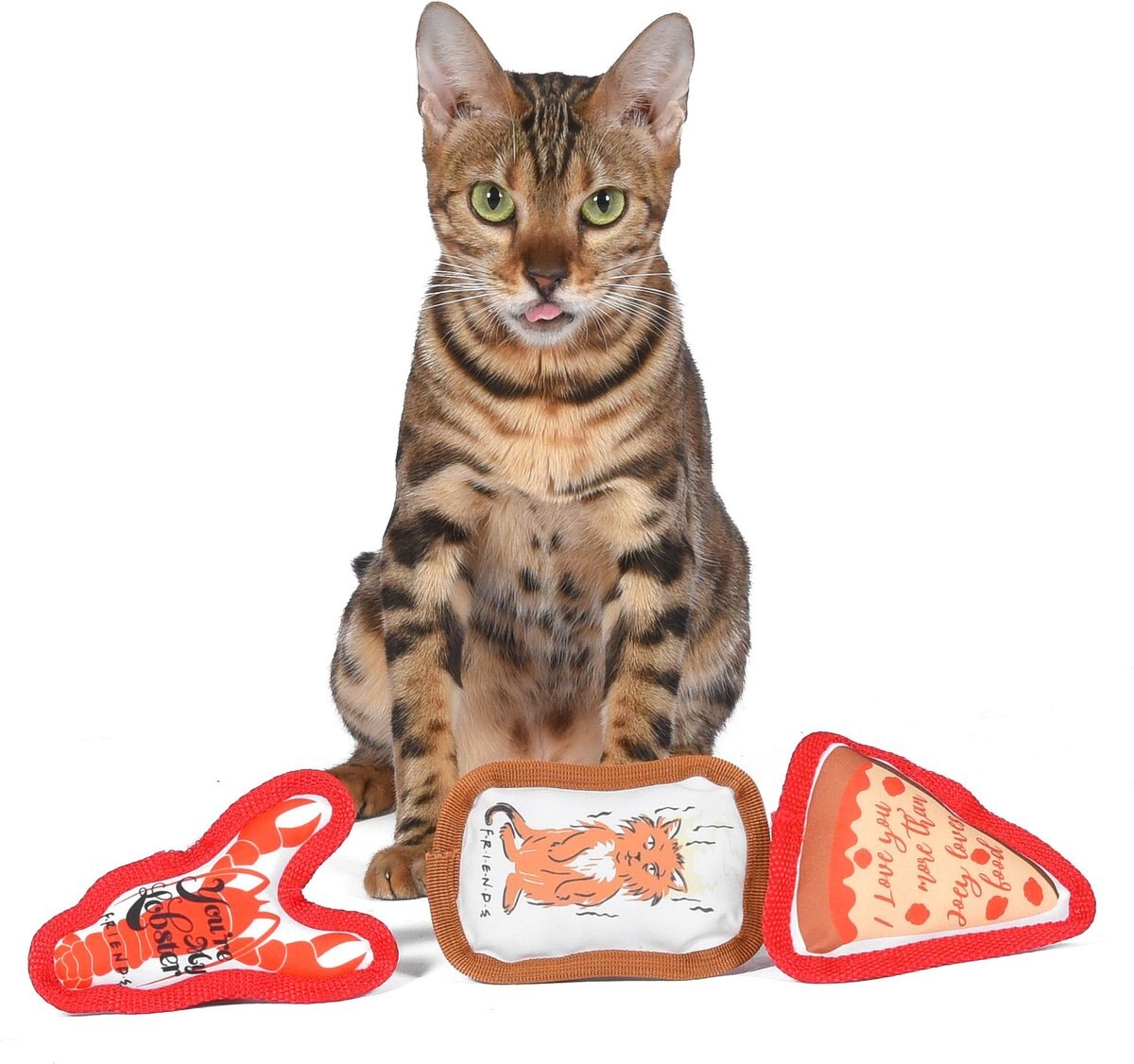 Fetch For Pets Friends Pizza， Cat， Lobster Canvas Toy Plush Cat Toy with Catnip， 3 count