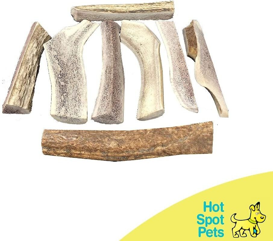 HOTSPOT PETS Split Small Elk Antlers 4-5-in Dog Chew Treats