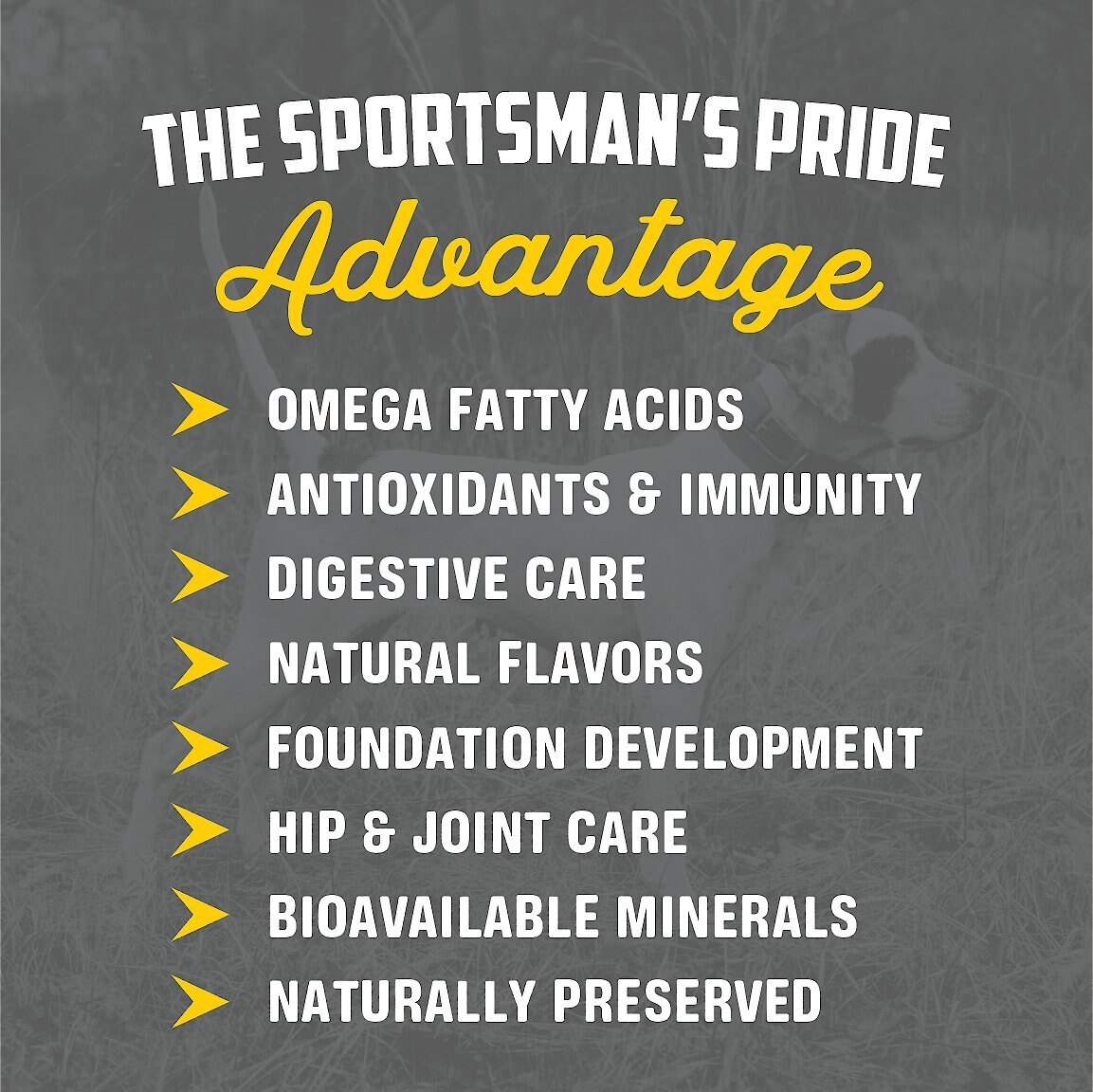 Sportsman's Pride Classic 27/17 Active Adult and Puppy Dry Dog Food， 40-lb bag