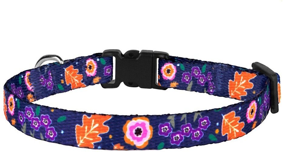 CollarDirect Floral Design Pattern Nylon Cat Collar