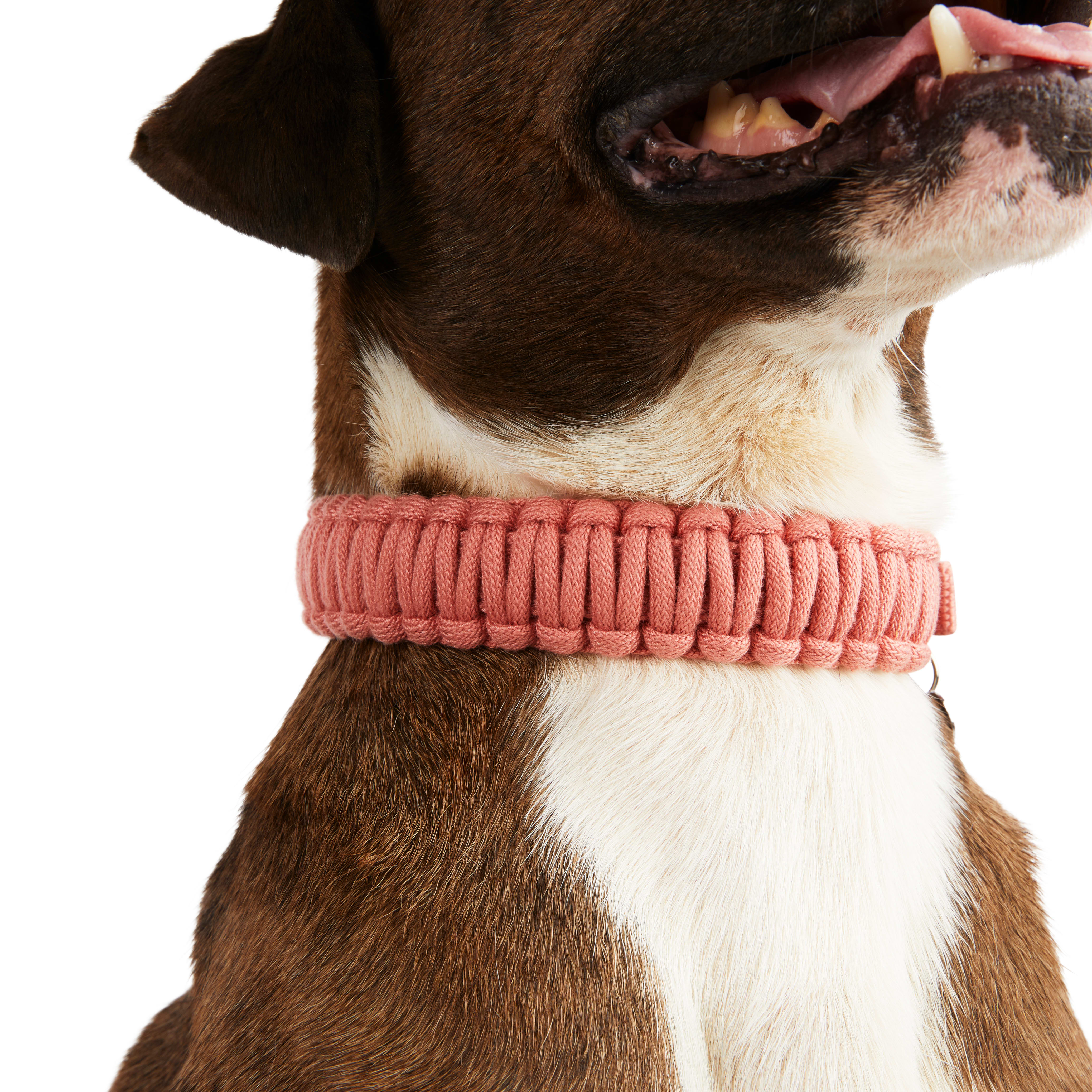 YOULY The Bohemian Rust Macrame Dog Collar， Small